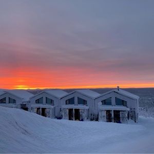 Meet your Posher, Brett